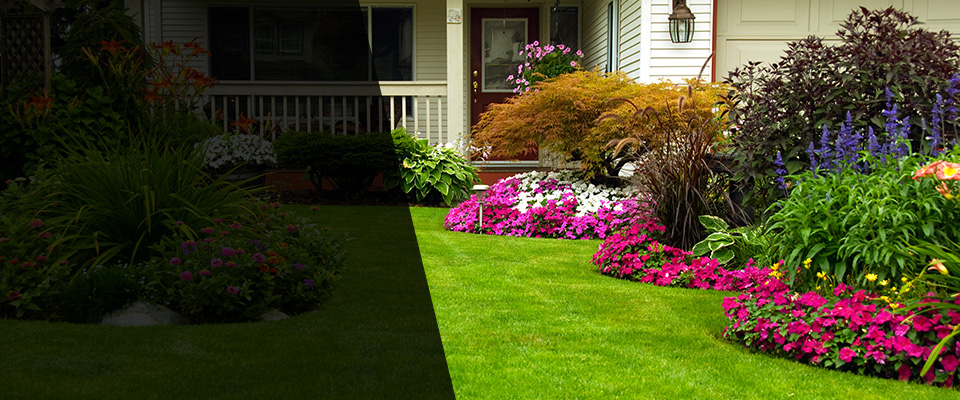 Lillian Landscapers