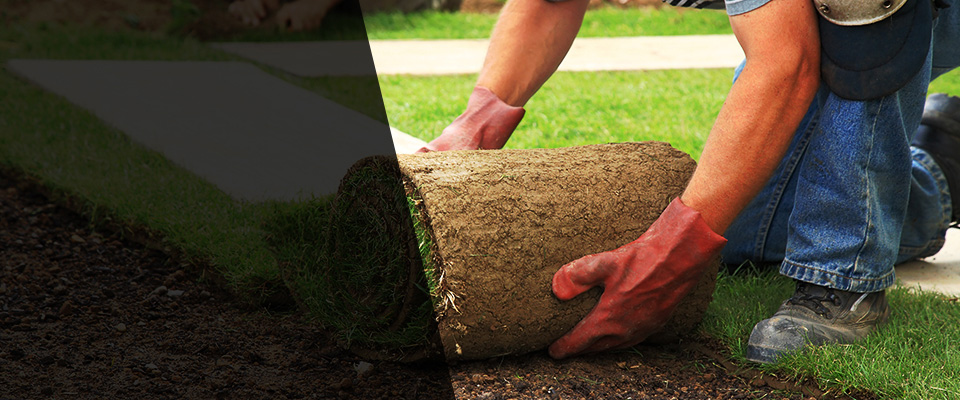 Lillian Landscapers